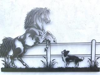 INT39 - Cheval et Border Collie
